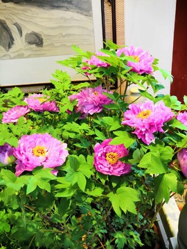 Nf7Mr-SfpGhv20lQXT0zB9pjlnPZ-f8RuVLWVVaYXEdRXiw9md7ouR4gVpYukmfl