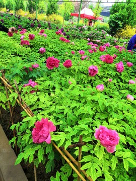 5hAiwMFihZdTQJrhlkXg0NvRAggtkOtD_av-zz0IibPGe_FGvnl3DLHN6sCvLUvW