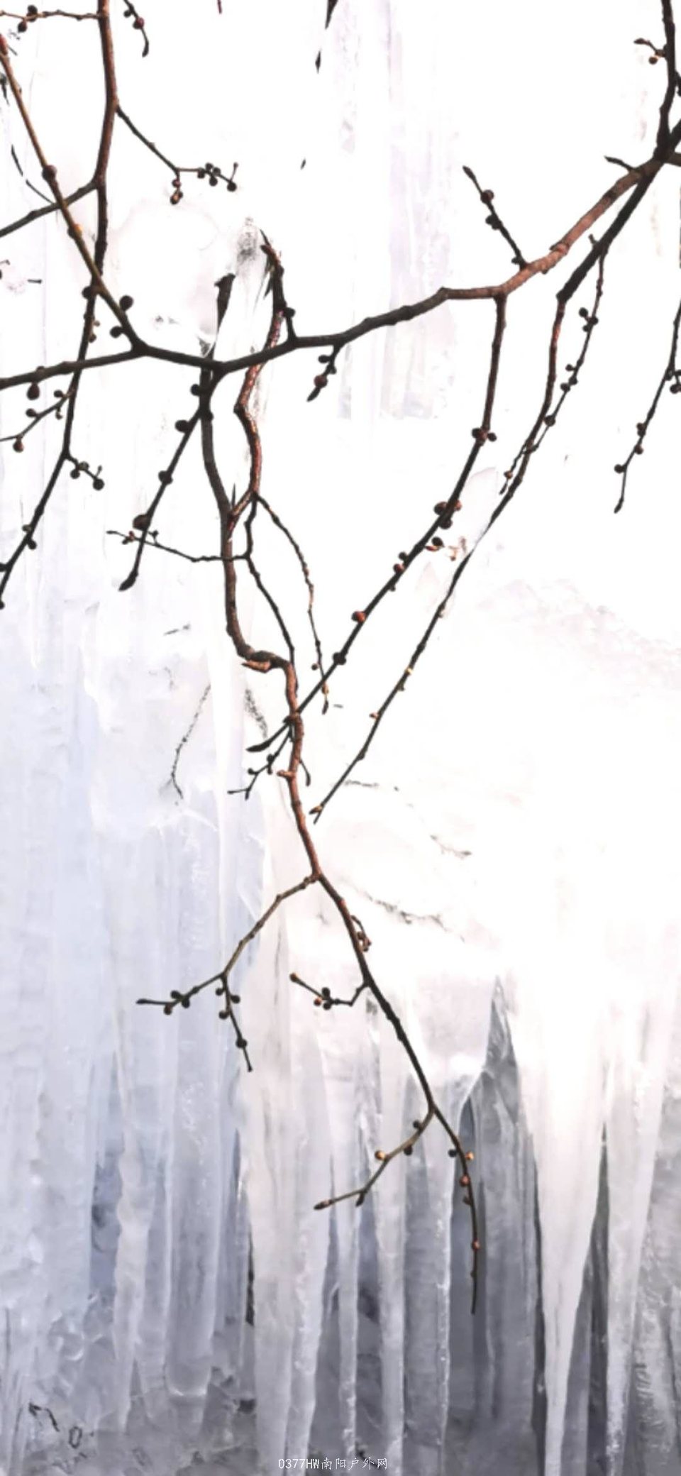 AdGg2aC35VJCe28eKfsAaDsBwp-BfaQ91bJ6YG1-VXeVM72ko2FWgfXHFgrBKa5i