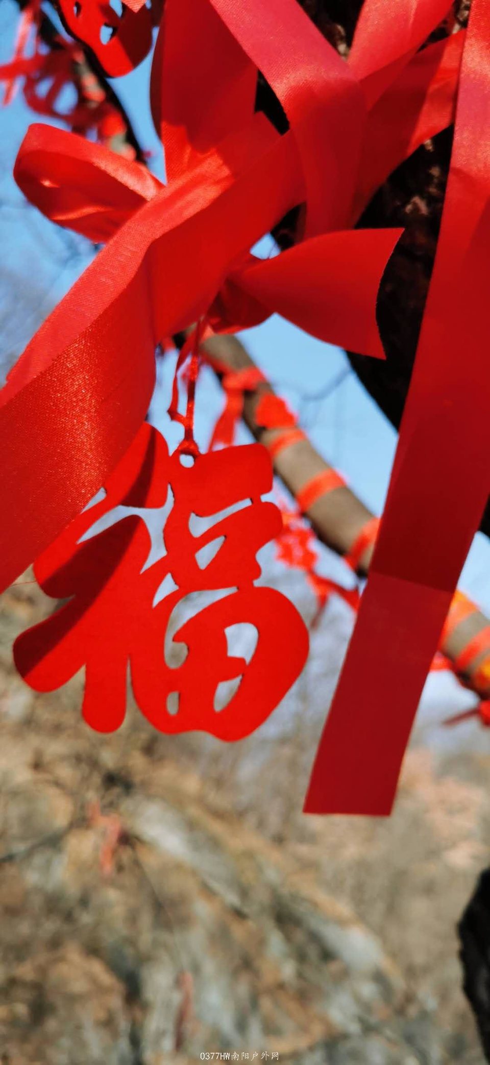 Cy2GPrnT9xgluhzPv1OZb9rzfPj2Y7DaGqaO0T7GvsK8MGe8knoXegJBSsdpM-3T