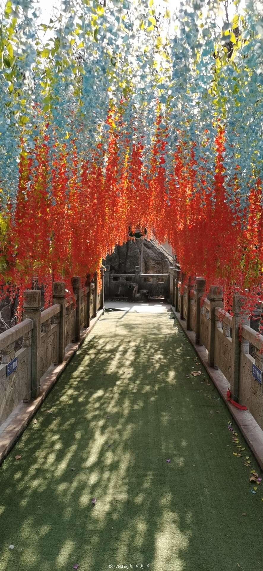 Sw_VfiZXVdVX_cnb4TOWXG5g4k6uyG8Jw5IqCrqjHU4lnczCKcUSleWHG4LfqoVm