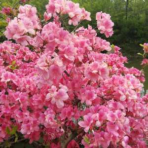 JxkW5bhTmzWUw7t0MAGiplwjFzH55CJ0VDvC_nw_Jly4TTSP5Sz6yS2e7UpHEHz9