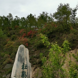 p-Qdv6Dm0jBjqRMVfifKKPgPtqgHC5FPVJPu-eE0U66LPpv10A6irK6JUe_MRnO7