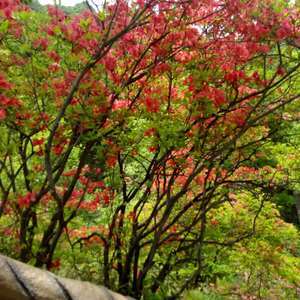 fLXfLtsTDMIVOk9oxEIr5laRGYPiVQO4-JR-ZOPcDgRY7ecnsVJkATN5dyUq83-3