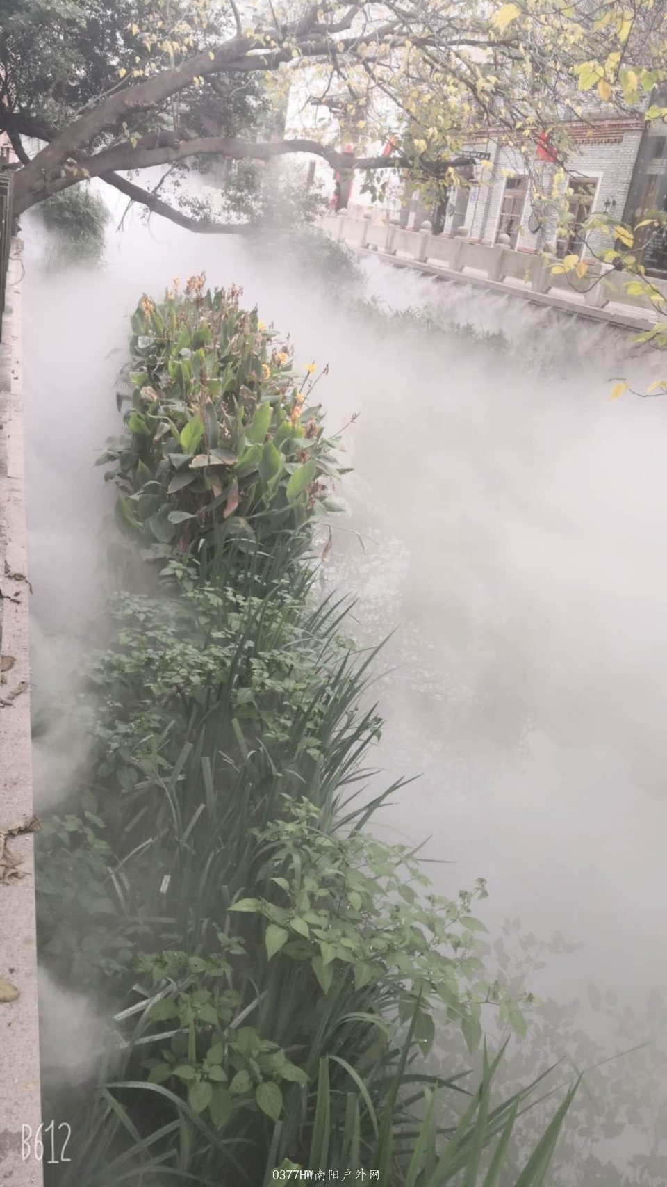 y7ZmWOcLlzmxgcm3QwNqdfjtscJkb_yj7w4T8MAHdcIZMgd-oobZZ9XxN2pkHZHo