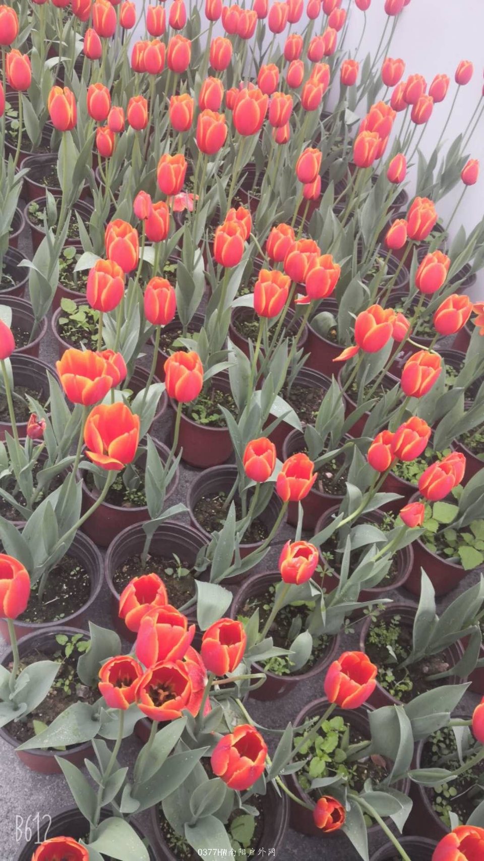 B1GBSX-F_NUm5MU_n8UQOE7-bMl6GFQH9gpnfErZSrKvKwtLRvMpyCInqwDwbM1D