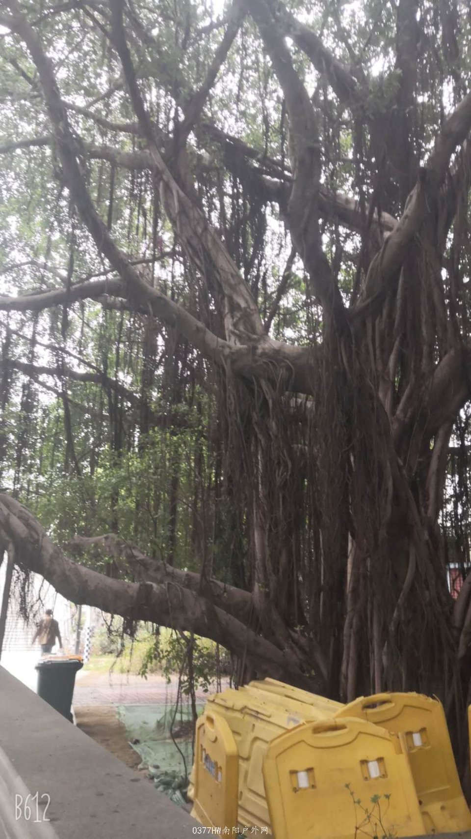 uyheZY9q6DdqvHlmUxKC2YrfMfIDKlS9h8RQU39loyHlFiEUyxh8ClZyUnw61sAJ