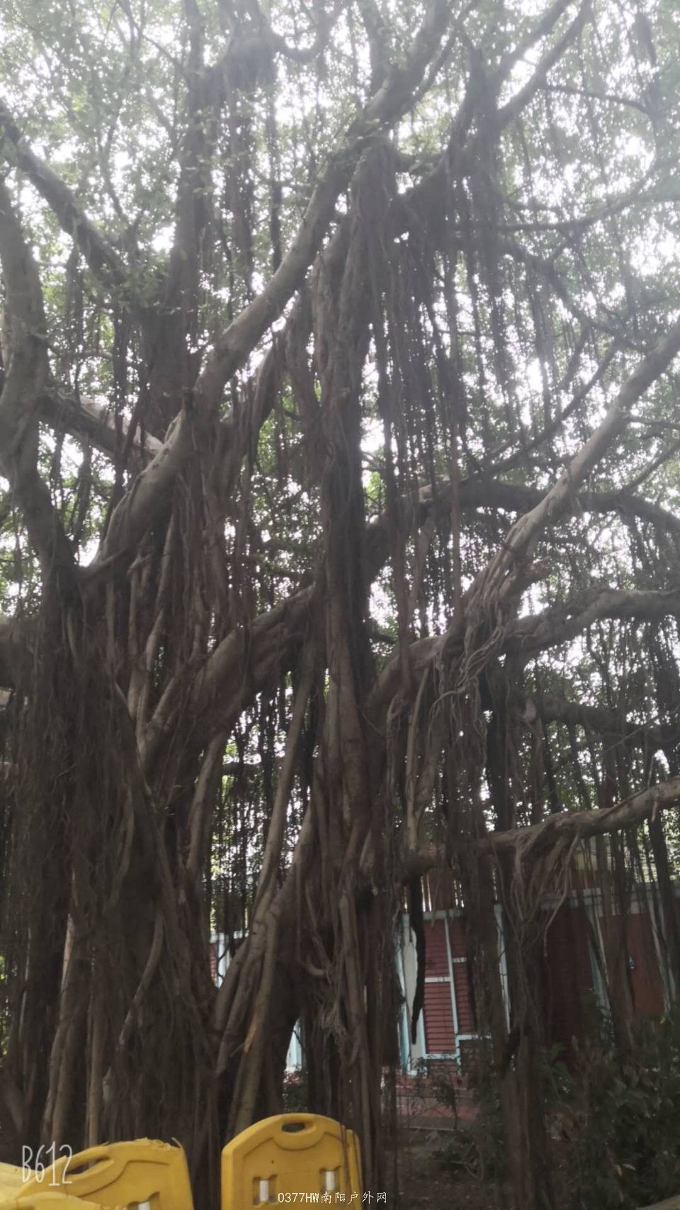 QJX3JlQzJFbxxHobNaJMozcvmeutsaOxjjRP3RFDpsXo_Xr-A2geLC_zWdByBn4D