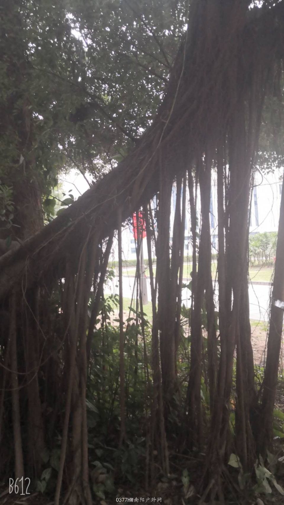 GjF66kJQCwQQrAqkvBFGcKq41bjZ_exjDp2FdDhNn6yR3EkyoA356h4y89y4dgel