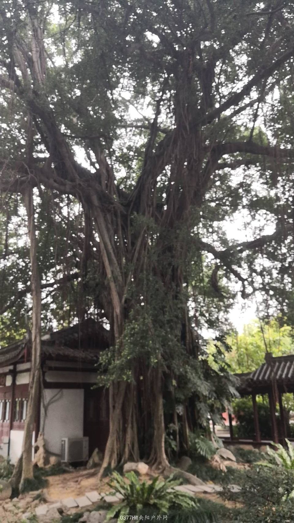 UNLxg-e-_rsSRdlrWCQXDhSXWqdA6E3g1ryka1wgLyNFBm8h4mn9kcl3fi_jmQj8