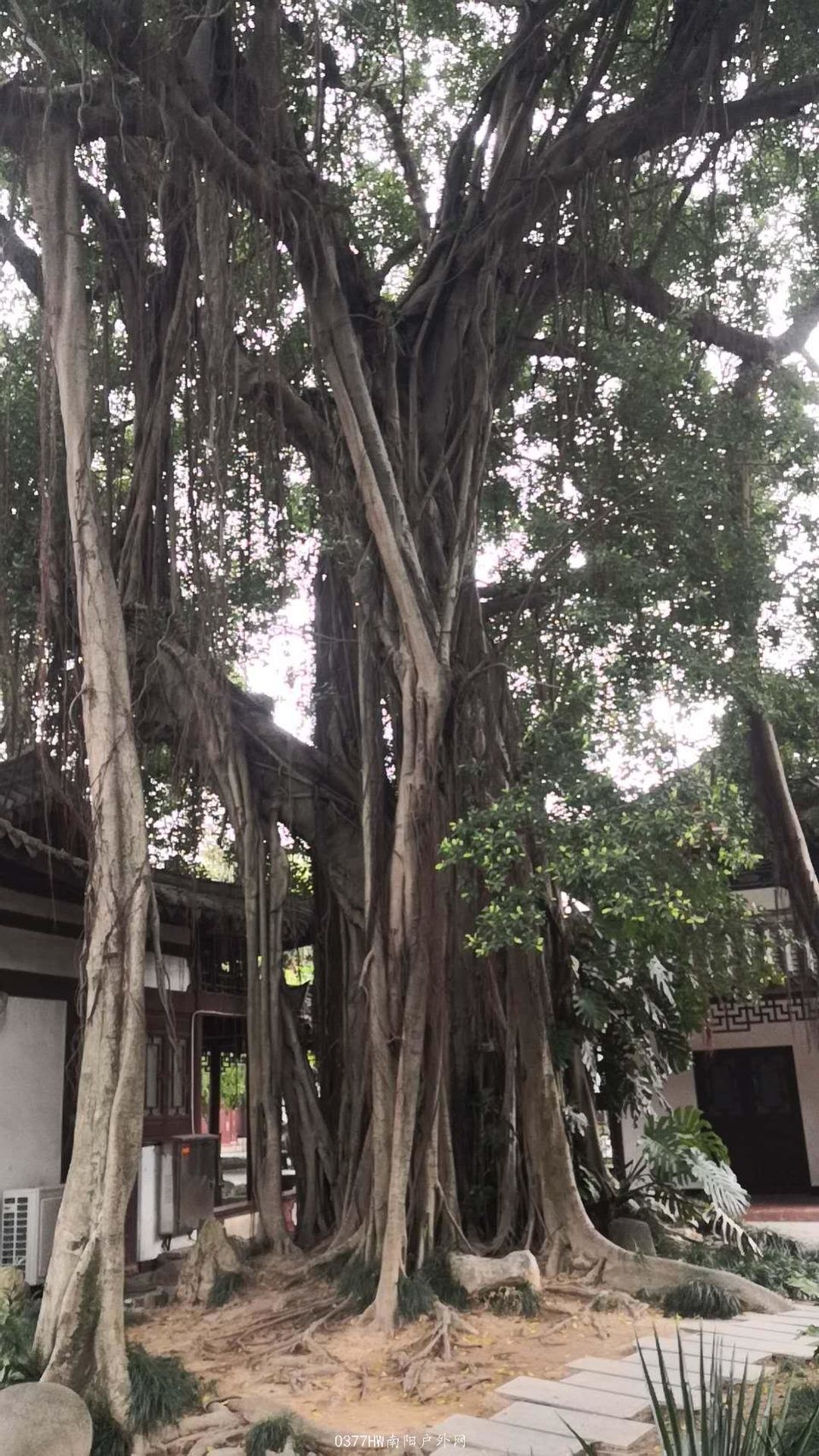 NjuoklRD8EaQCzqOPWAnTTd8cX8sbbP9PYmaVBATNvGX2FV_jjeseyISFkERly-b