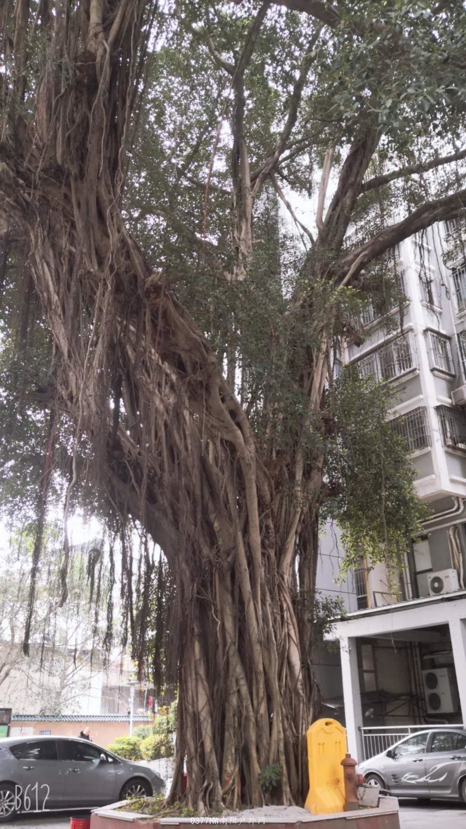 oAFoVFG97NDA7zYDfDOram49GXuAlIO3UOrVxt1n-yupZUiJ1KzmgDdP40VMsTen