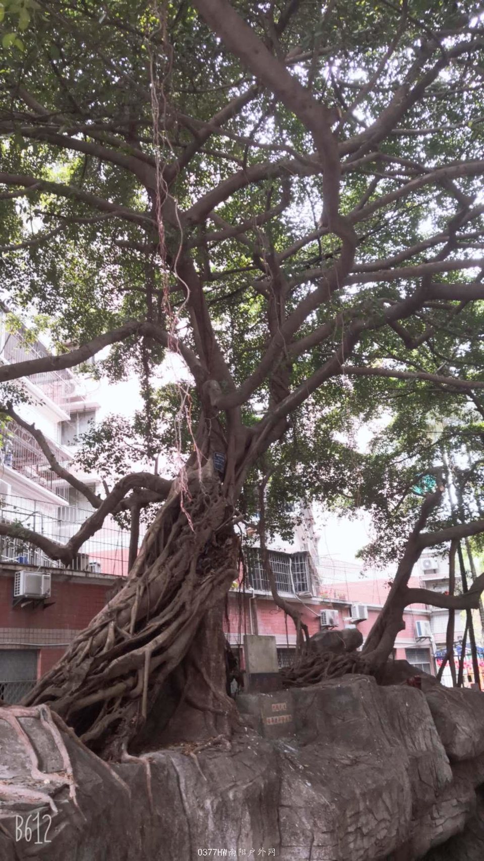 Rlo8qKAFcCEiq2UaaI5czzA6OyysZ4yayJONVj5a88QetyJv4m5A3fYPysq4TB30