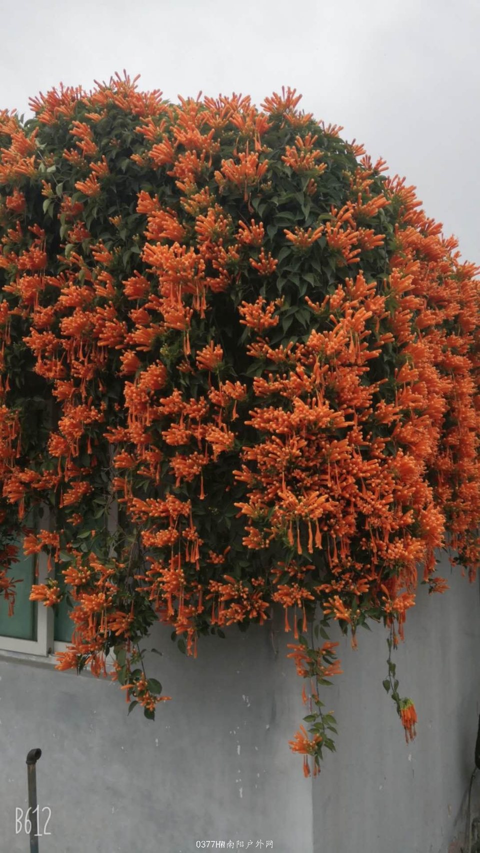 i2Aqw9a-j5se7fvPxDEBbVzEVDuvuALSbrMQw5ujBS4wQo5ogfwdYtgNMut5gWYE