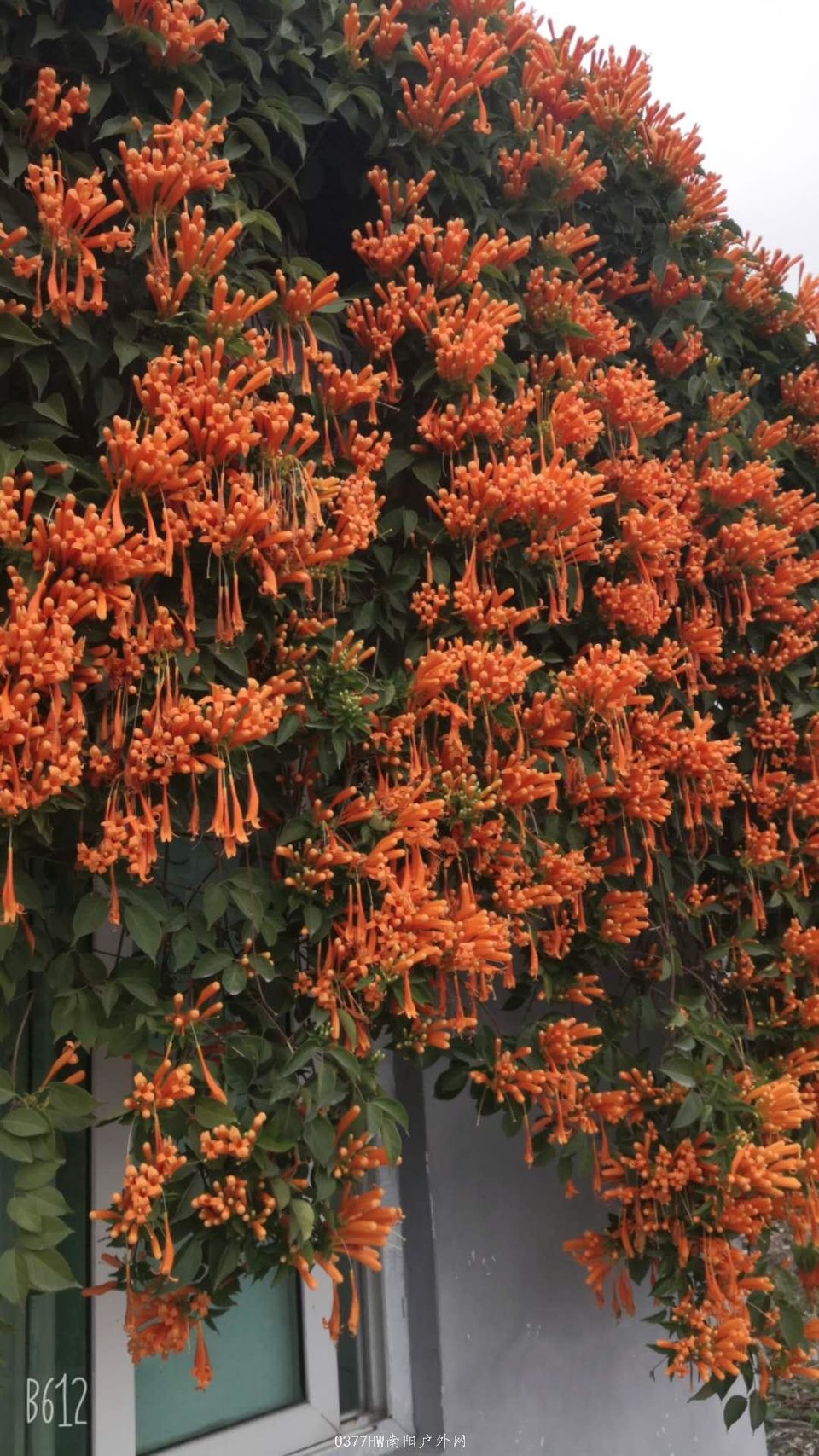 RB0Be0hXVpd-7070RE7HIl272csF6-LpbrdOgBZN-cfSpg0kj5lAnPOjUJ3l530N