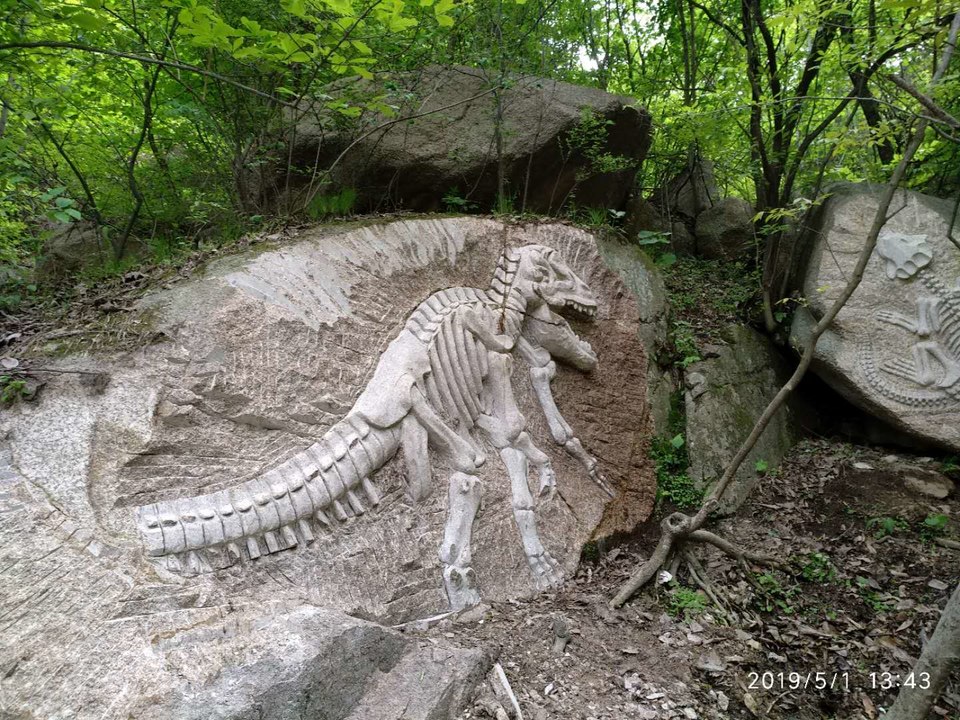 BTLZWMsVIYCIvsLjclo_SkoNhFwNQyCDsJkoAEk7C-jwcusuoXzz66ihmhVS-NoG