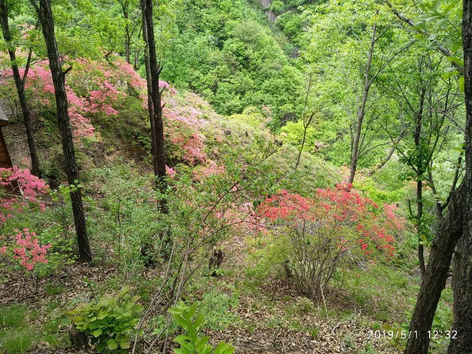 4eAyGxcS_JvIOOkFGQhkWpPbEYUfbJu2w36vwLEbpPJFf7O73YSDgt5mbjigf9UB