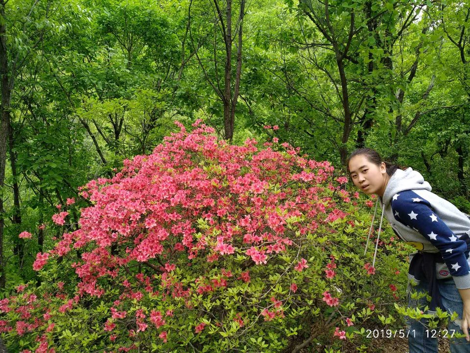 jrzxOs_pS4Czo6I5Xa6pLebWmuUrGaB_mEHj3_u76HayqOMFpLkKTWg8oq3p3klP