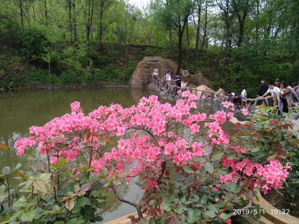 Da9ZguIJ7M5Y1wusChtb-5Qy7JqzZjZJ4Q08pvozWOWkpiBQM9mN__TtB20hhUKO