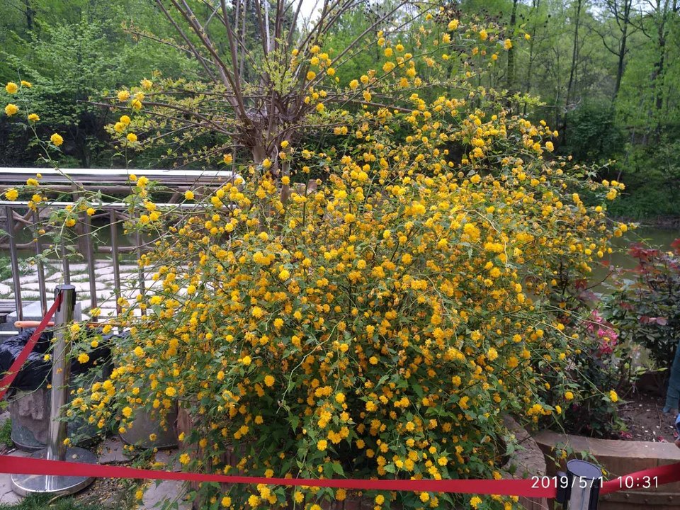 3PdzBclSe67bJ-rDPHsr8aP4lpT8-sp4S92UffRnWhrD3YheaXyRkbmHMh8ZxXvx