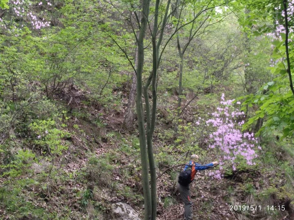 KVNh2JsQ-72HPYhPzdQTveTB4Z6ldyFoDBYV3CNTjZR2GXWA_NB4fmw8PY-39JIz