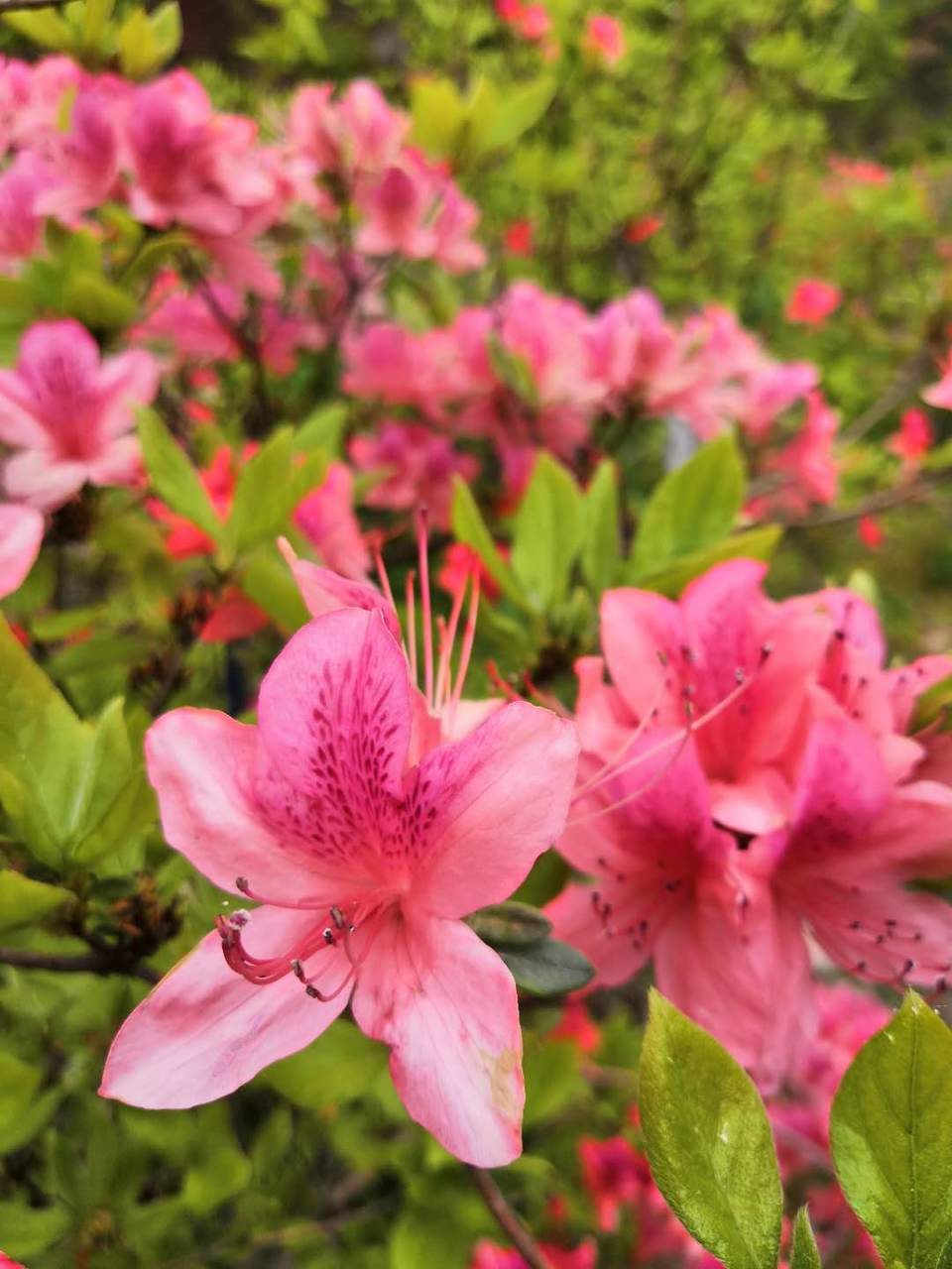 B9B69QoQFePXrvzs6LV4jnxqh8mk8oTUu0LUdpDNl0E2k3EB2SMrgJLnYkItTkF7