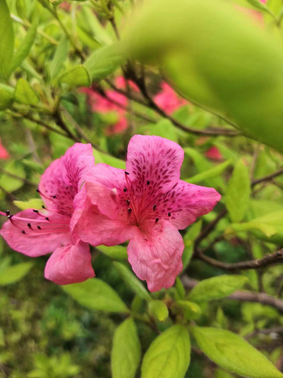 5zZKIzmyZmdaHJzTErGKNtca0x53FhdxREidjOufaf-WNHrzaaFXarZrQY2KKo93