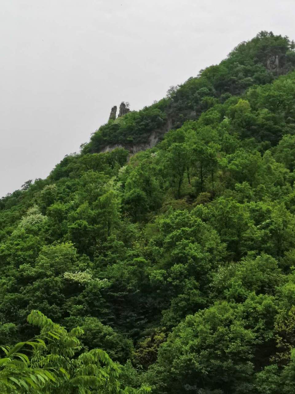 FAs4uubiR1w746Pcd823PDL3ehzx9jLOZYf6g-ChvydelbTcG1uUl5uttz3Mo2D0