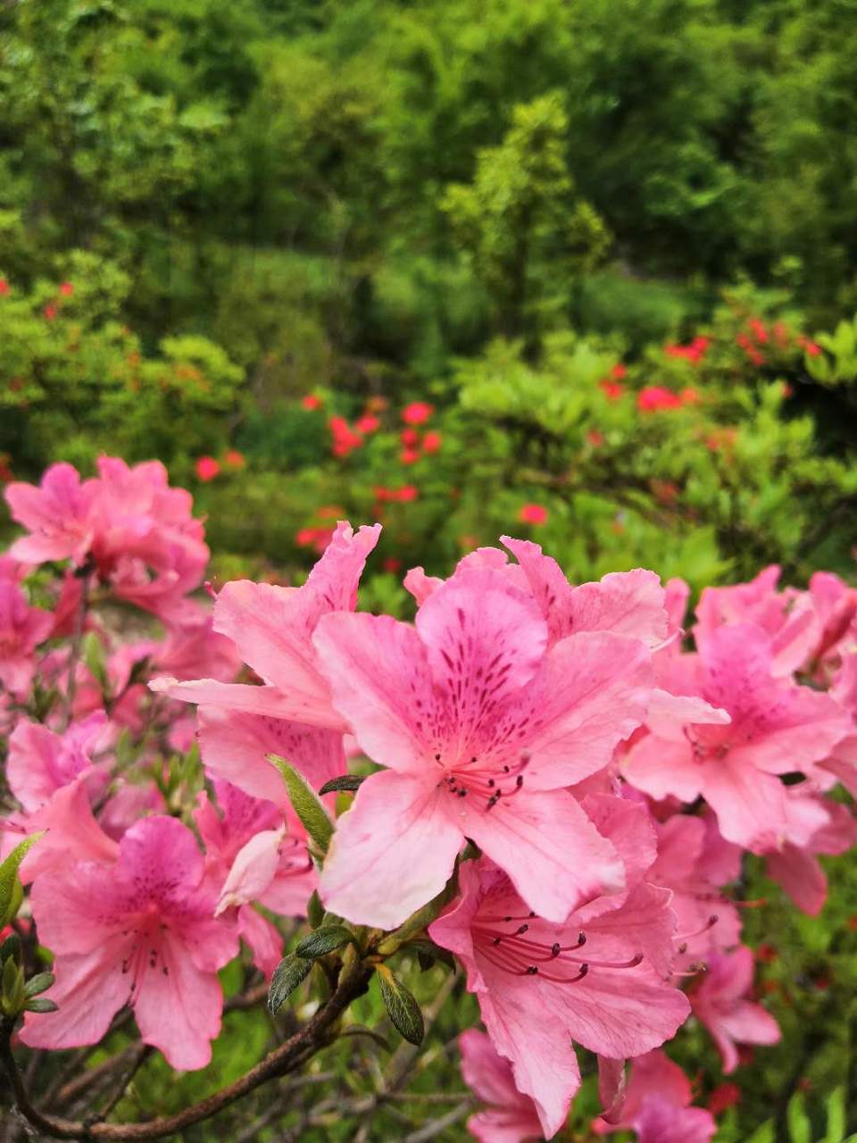 SdZDpaTIjAQtyfM4w4ENCDCYMuWOG0g57S3K_DPz2RzoVBq6MX5zodtZWppmDx0B