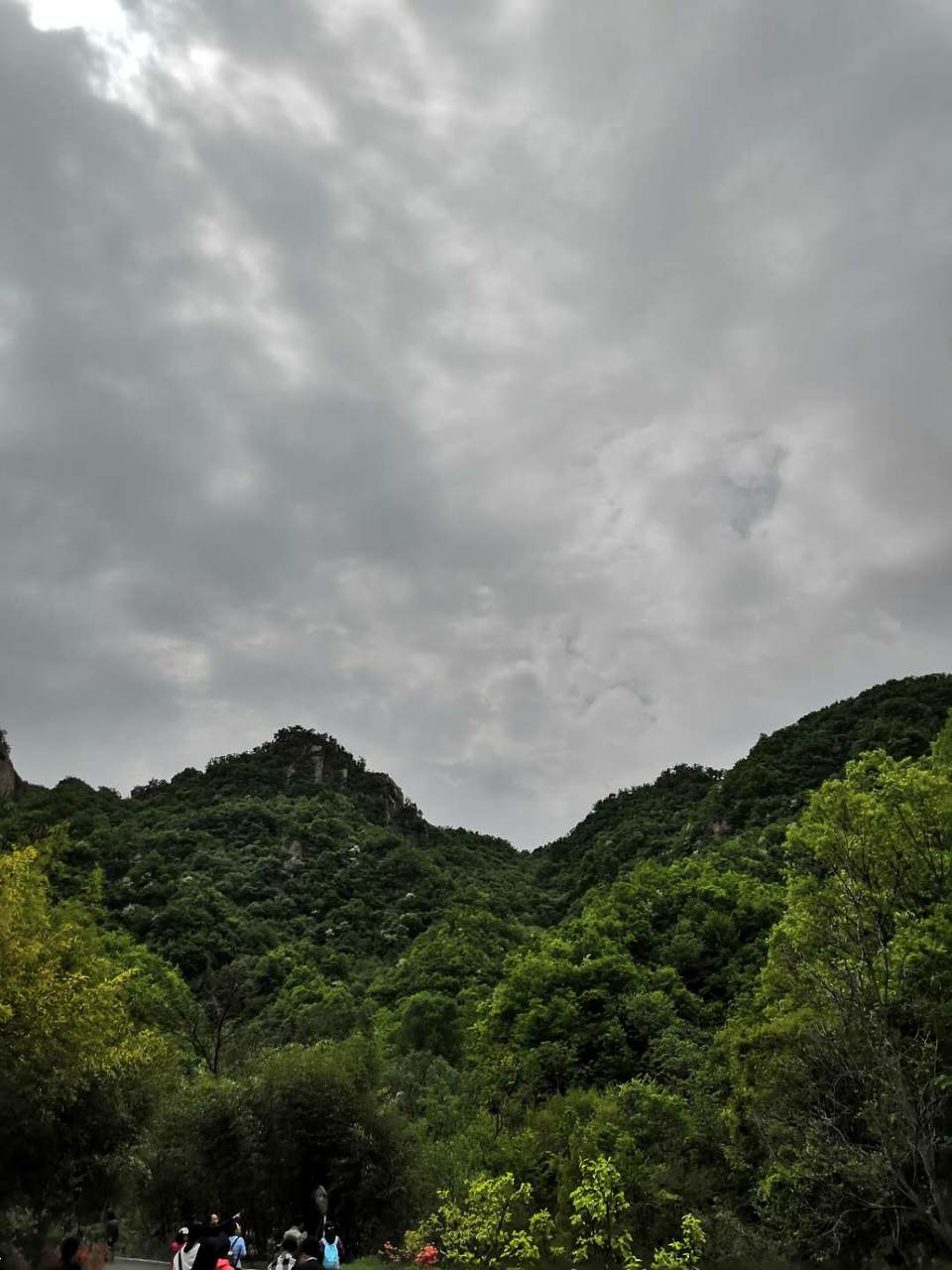 -Y7jbbikbEdmfknHqcVVlRXDQEb0dSneZDCmVadxTWZxz6f2gQwTBzdAD2Ne4s5O