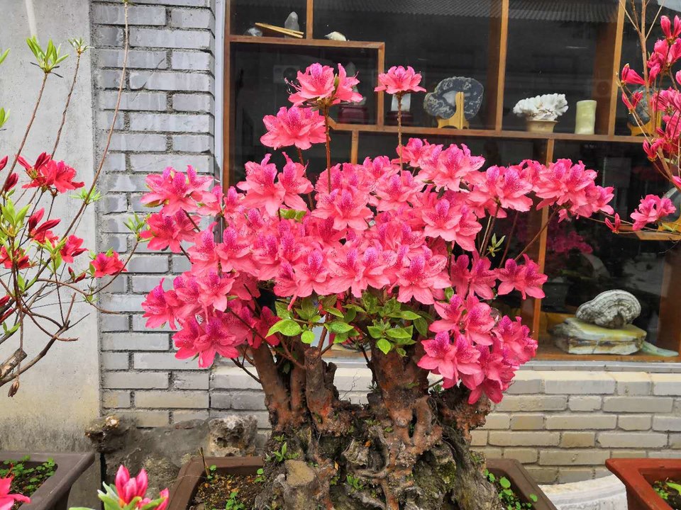 U0VJR4VVsanAWtWjLm_czUZsEuT3Go6u0ifPaT2tskehvNG7Rhs9H-v0rx8LKvHi