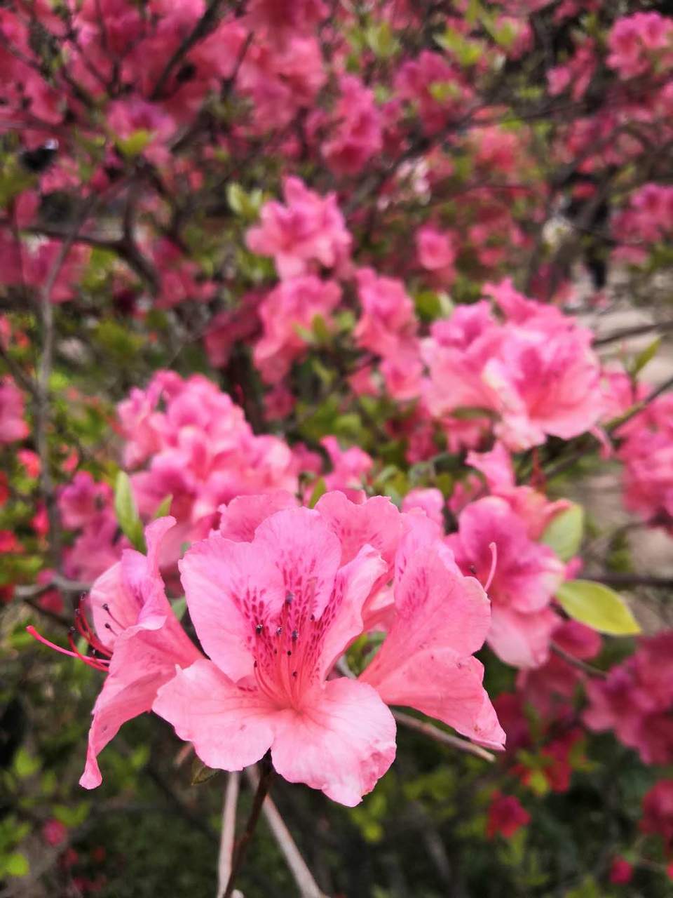 TD3oG4ugy-J-O-EzVMCwY6Mxl6lIPEQ7IoS_KxNoA0iJyo-o_D3ezdvONZ2RkvxD