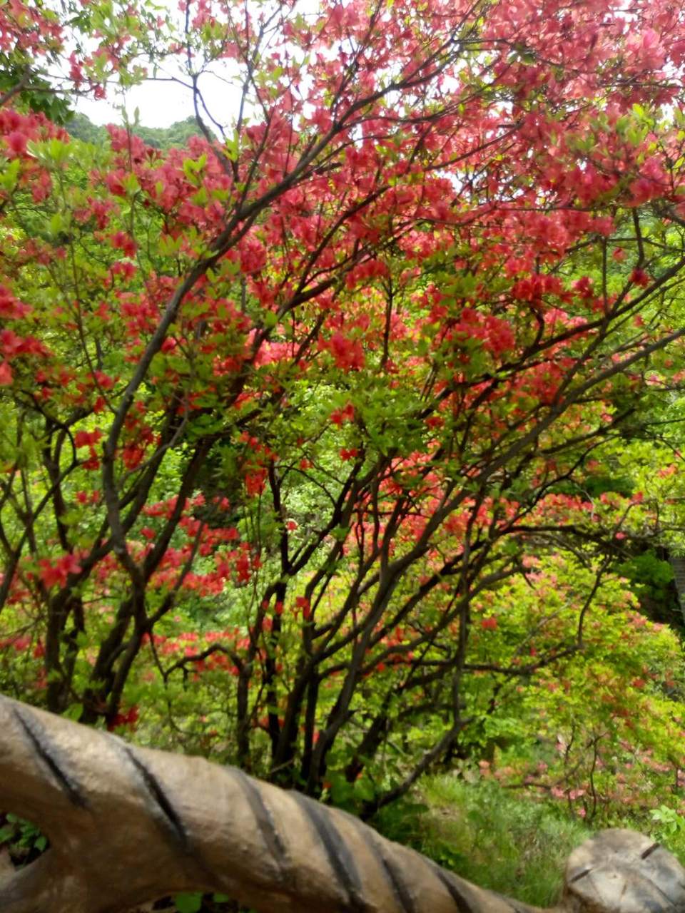 ajgGBsjSzJCKrWWbBiJ_lpbu5DBJesPlBkcGMitSMydpqDKwVyfpHdbyx1UWOVpw