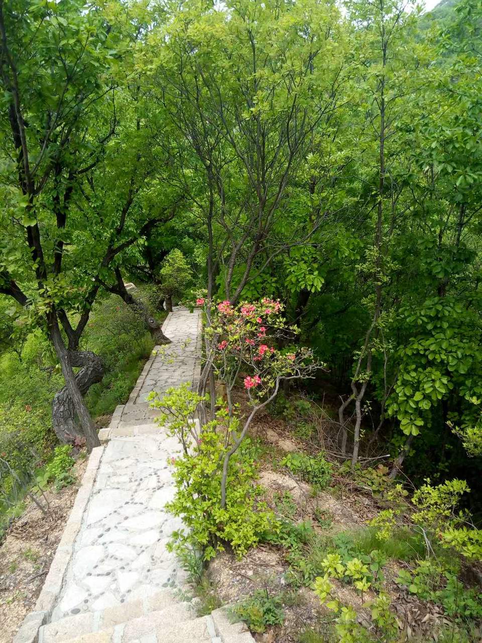 e-vG-fvHX28-cgrz619THE6fAjOol1wS5_X9PlT_Q__pcdyw24m9u7mNctqqj7_n