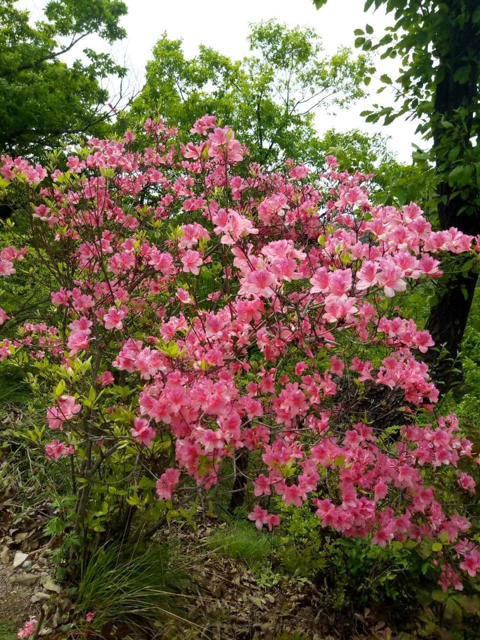 og5jm9XzuguJpoF-9UKENG_5wEVwTXVRo-hbnFHaqW1JWOVAAis1bnrSFB7t2wSA