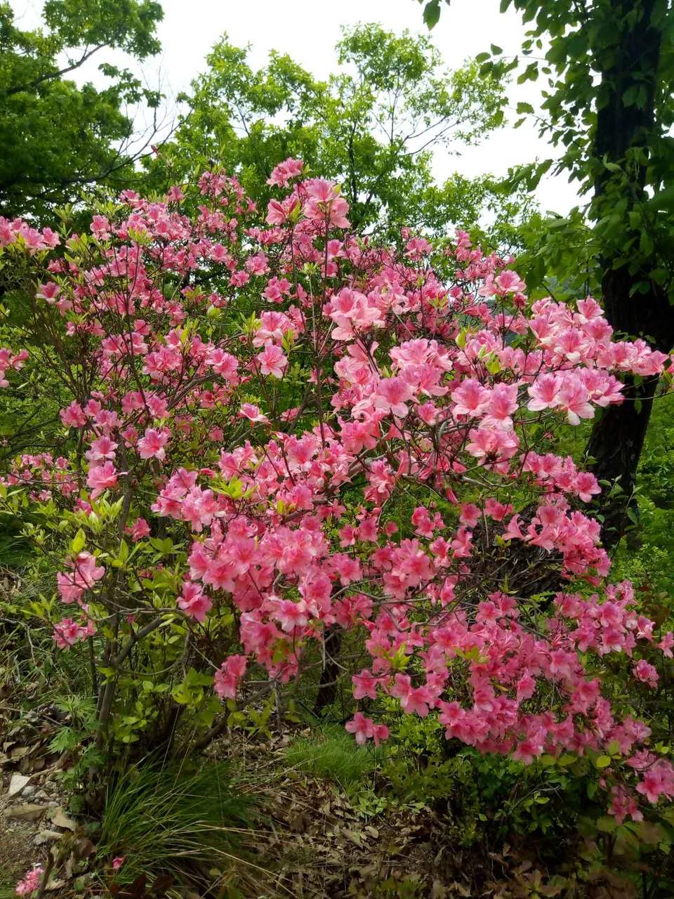 h8VUoxUqPYSrcz_ebf9ojFZku2yD0v1oMYfpHVZsM_YAJsiTyLej3SS1y0HuzuT6