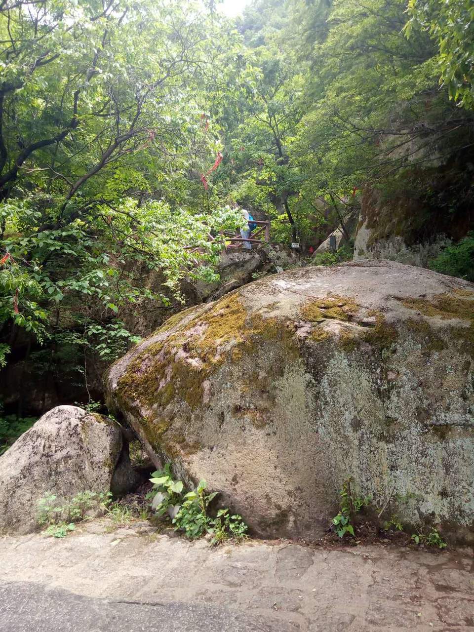 EIVXE-AyhFl5NJwINv6BbUHln8Dh4bW1AtPFzyxHD_91JcSIIqCC8x9iztttP3e6