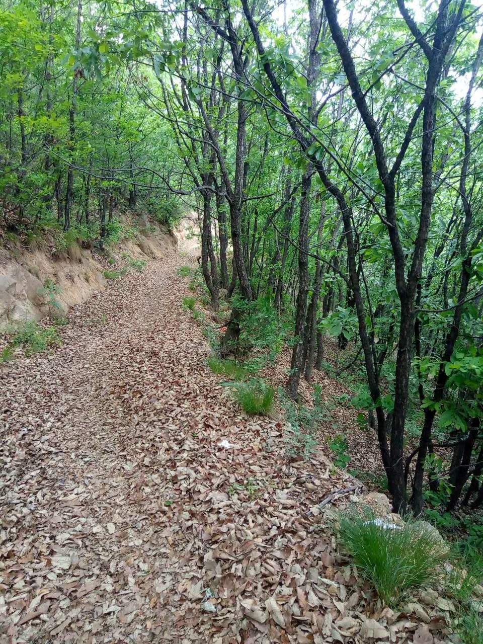 E05kjIAvz8wqq0YNTtRfPF9hcKoV72TkFtB0HpGL0tneESvzeVcI0DsNmt8XEOiJ