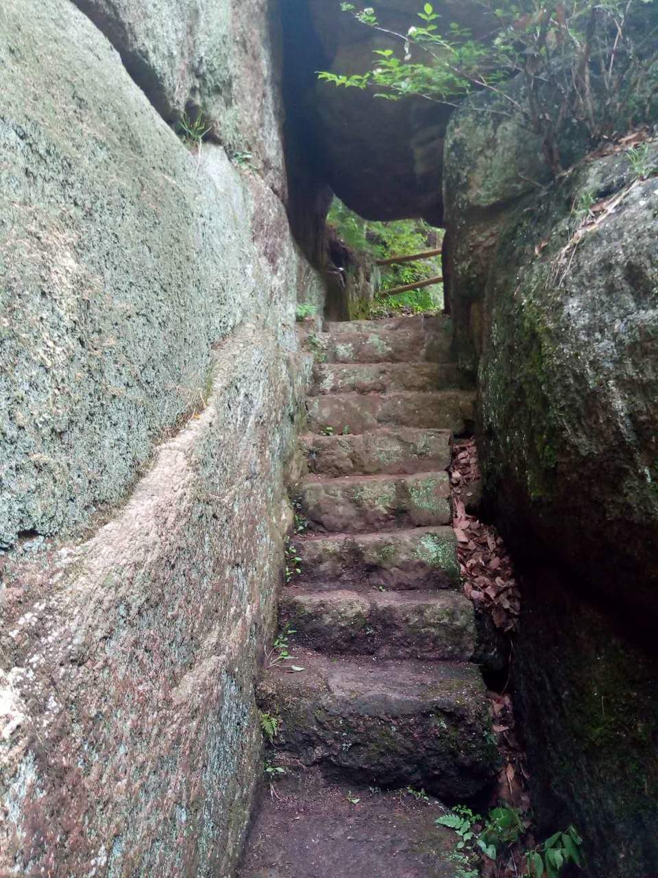 lUshLo2YIydzyol_GqHbbD1dp2JGgAjxAw8SJXh9nZqTQXLPX1Lsc_EEdOnDlT3c