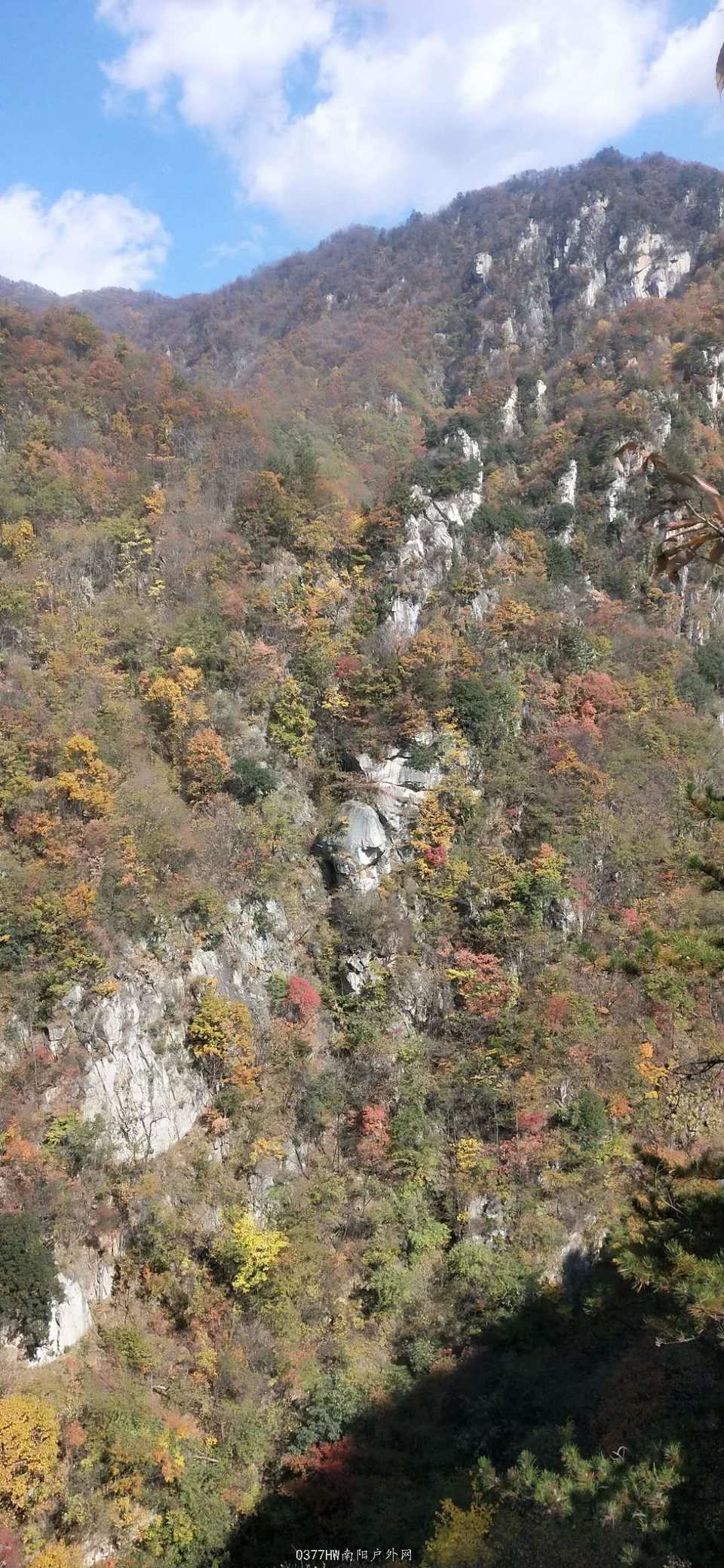 Q8W7mAlyKl_03-KGf1YGCM02kOAx8ubmS6MQ1KHfhuguRh-eJ0HQlB66zs43ctT_