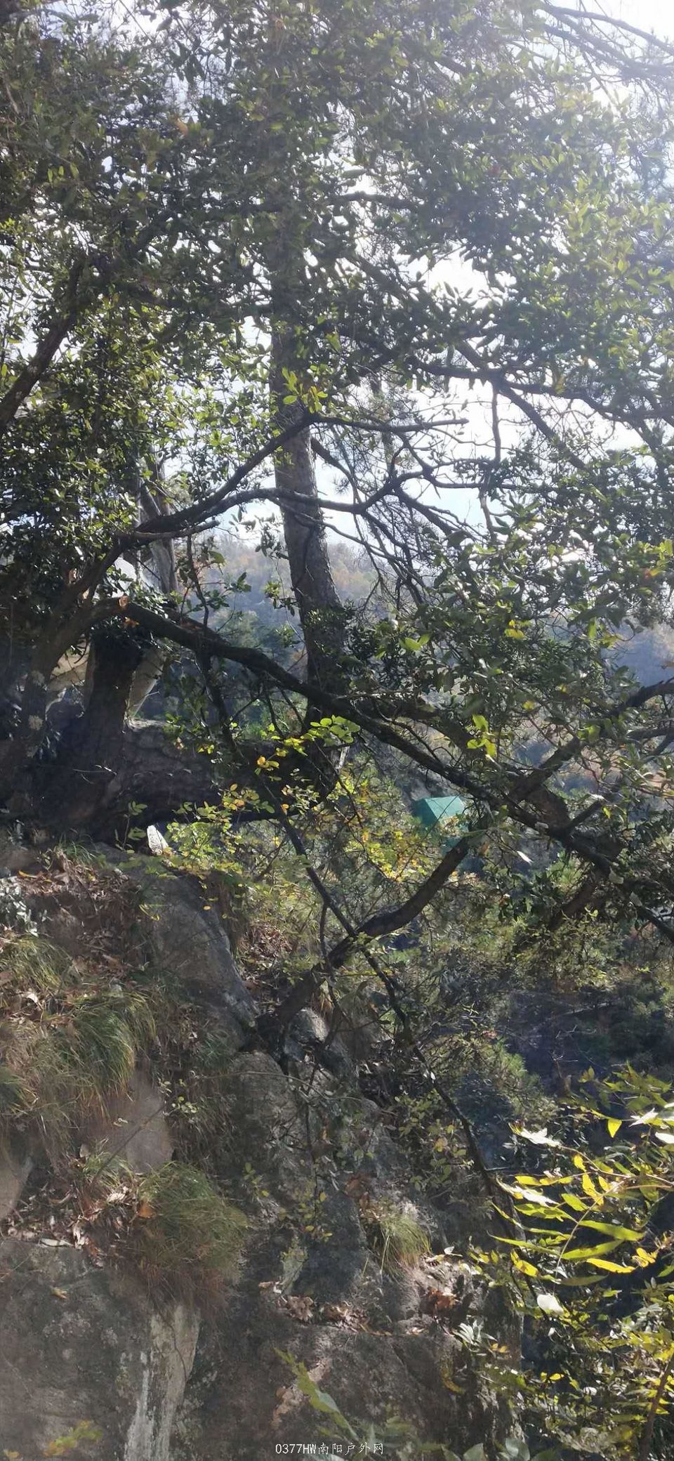 PiWjwFzz8fKE0ctyppETOzaJ6tUKCLQ9wDHrc0UL5upyy_IjVtt1Z4XWD5YBuQQf