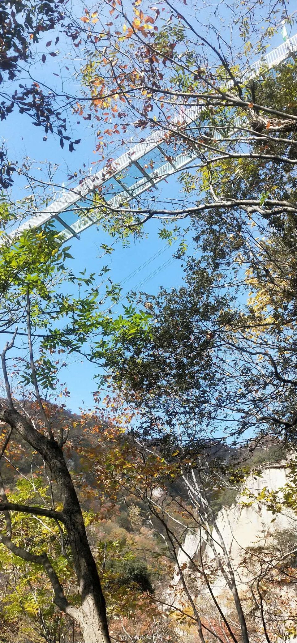 E4ZUdz_EcxTg0xsPqQyOZXOMnhtW32lshwk5CqZuQdymG8lWtsnClsp2zo6OYIBH