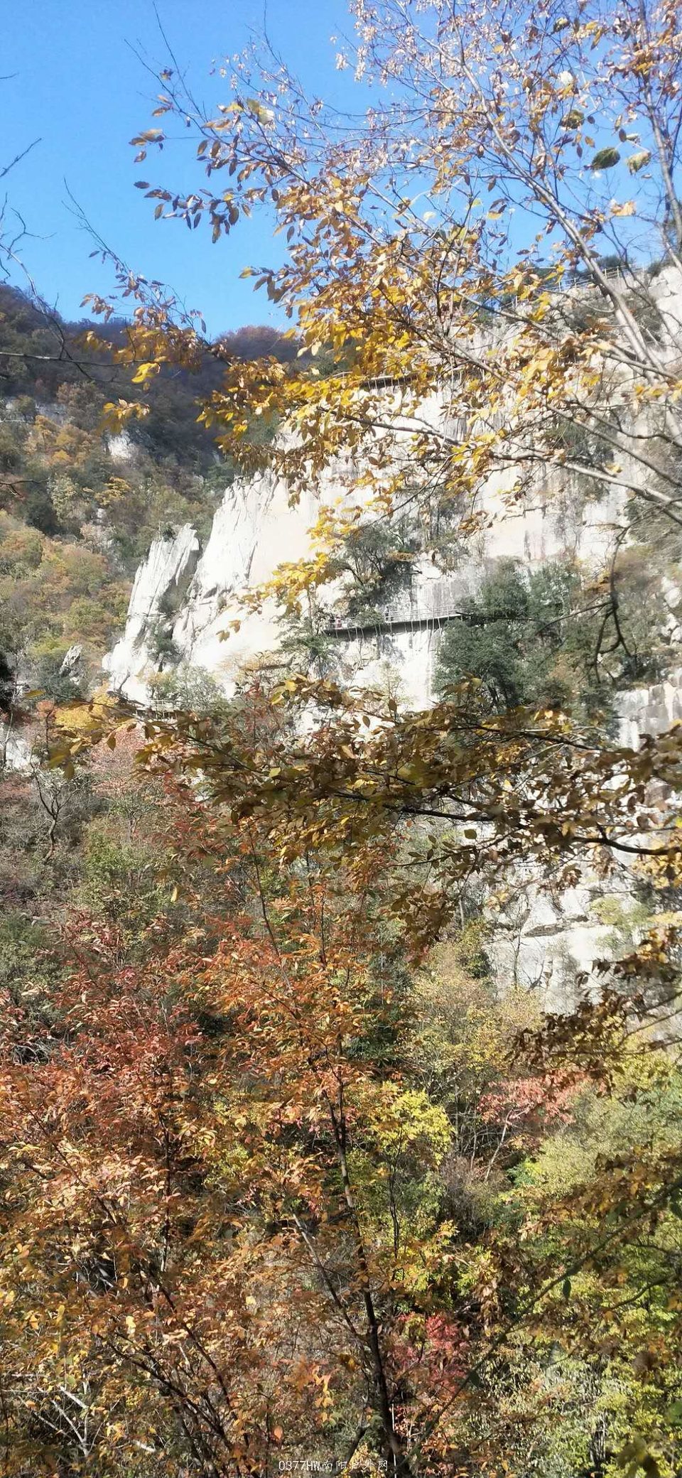 lb-Fdx4JiicHluqSZb02Wh5ooTqvjejctjVSrYZr1Z7OYZKsHqjfR2VUxtGDOfWH