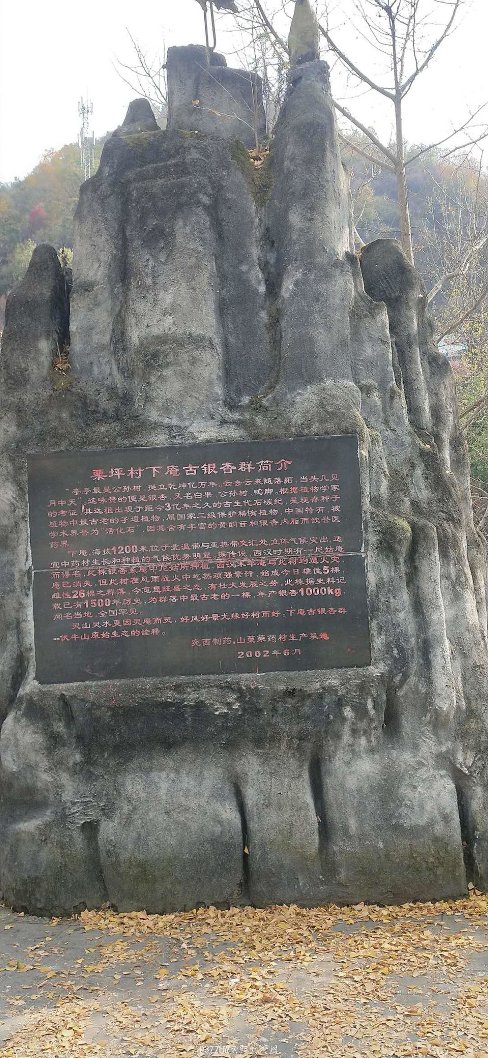 9axyV2l84FGPH39BePFHP65E5SOBjDy5D1K38leDFCejpg_zYqQJOXQWgrAw02hC