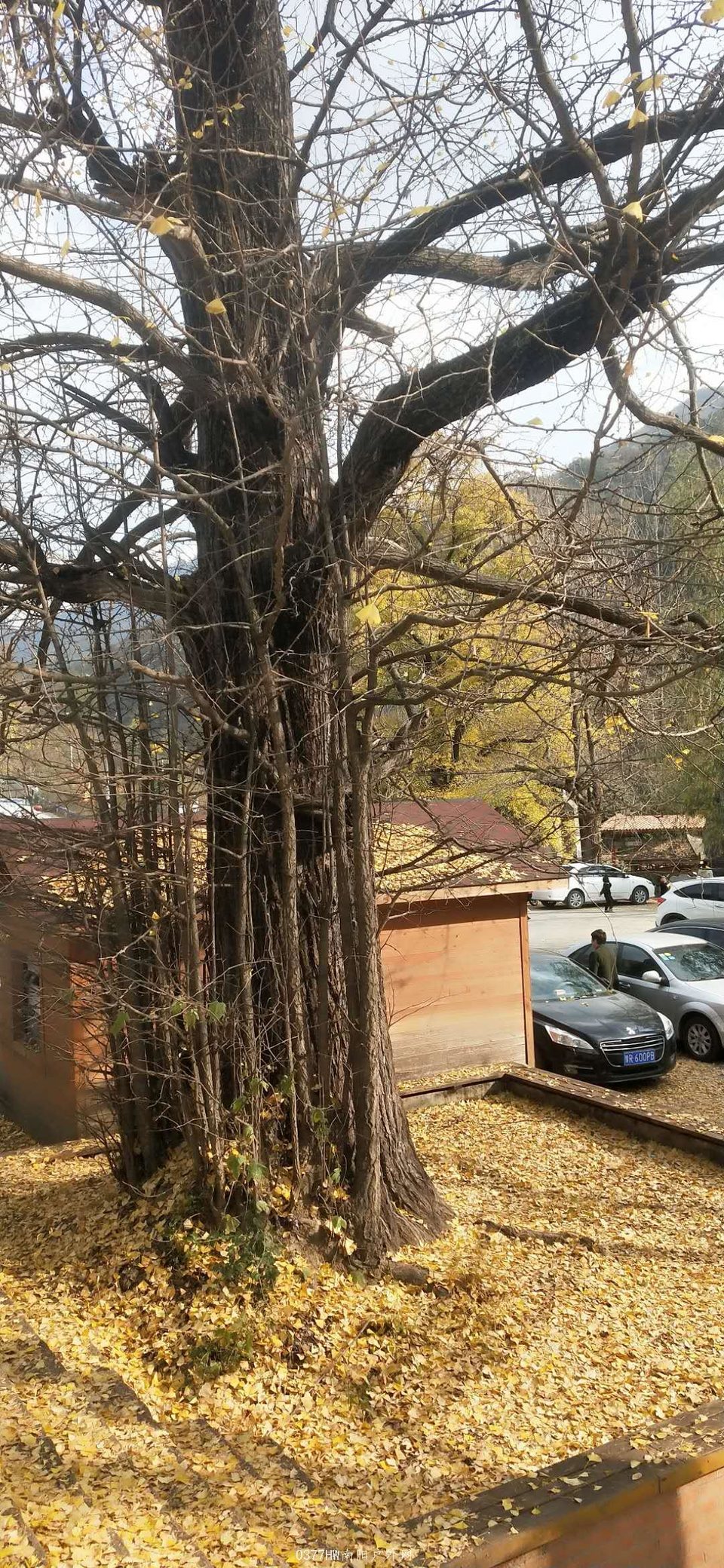 rmssI65tWXYD7FPpSjz4kuGeG_27sfNM_LKhhr7cIOfTbr08CD6V8FncAUh0KXKu