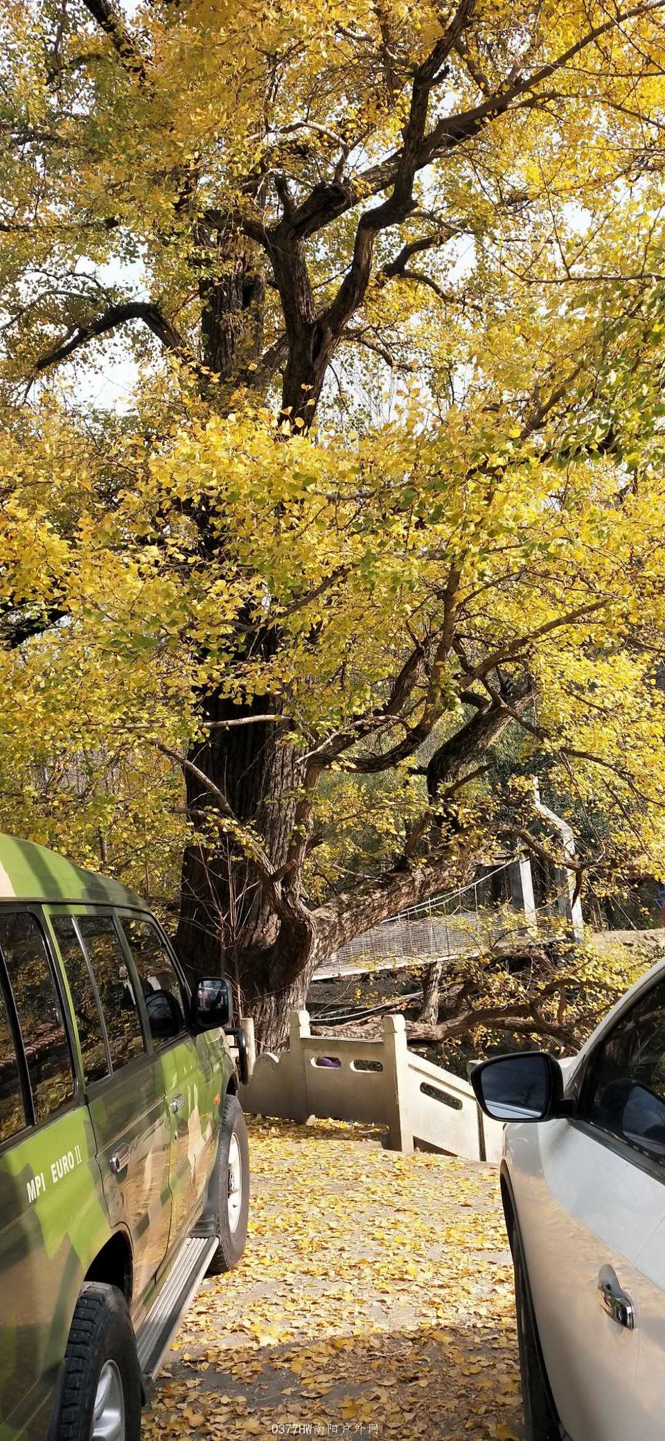 A5c0zirQX13mYWs4EGWG6hYVExmeAbZ4QgBXW1h50n1iCLVfweHO5r3C8K4ZWaE5