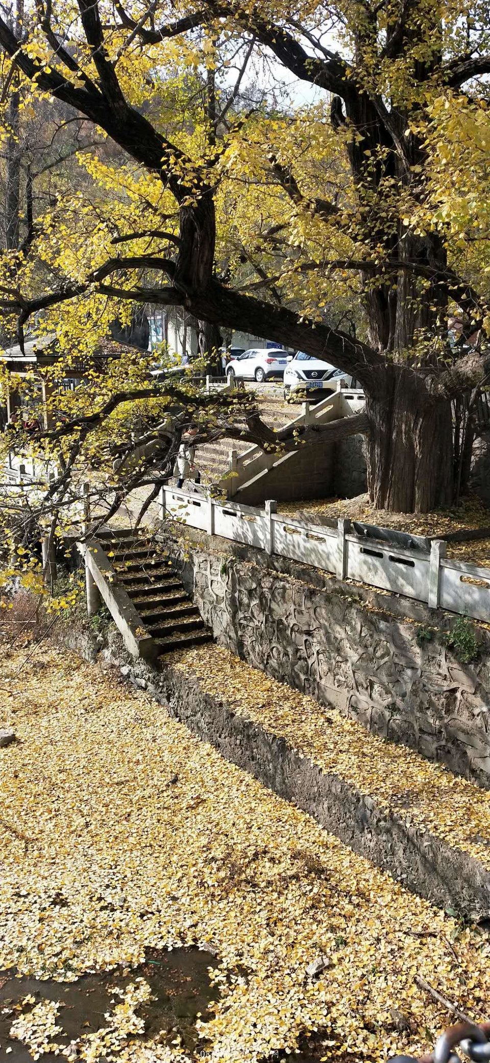 PKhyhRP09VHcEoPd_2QRMaCmXPbHPUH7go4n2YKlQTASghMeW5rUP1R_kNLl1Fs4