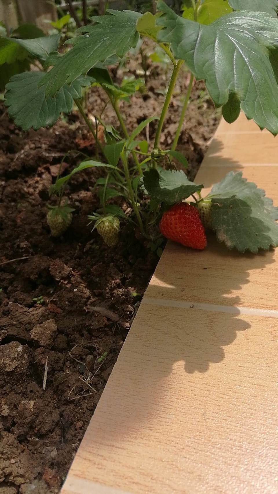 Obfoi1PNpaiSkKmeotBuNsPw6LTiU9-w7WfD-m6E64CXnt4E1qeDGwaxaVS6obNu