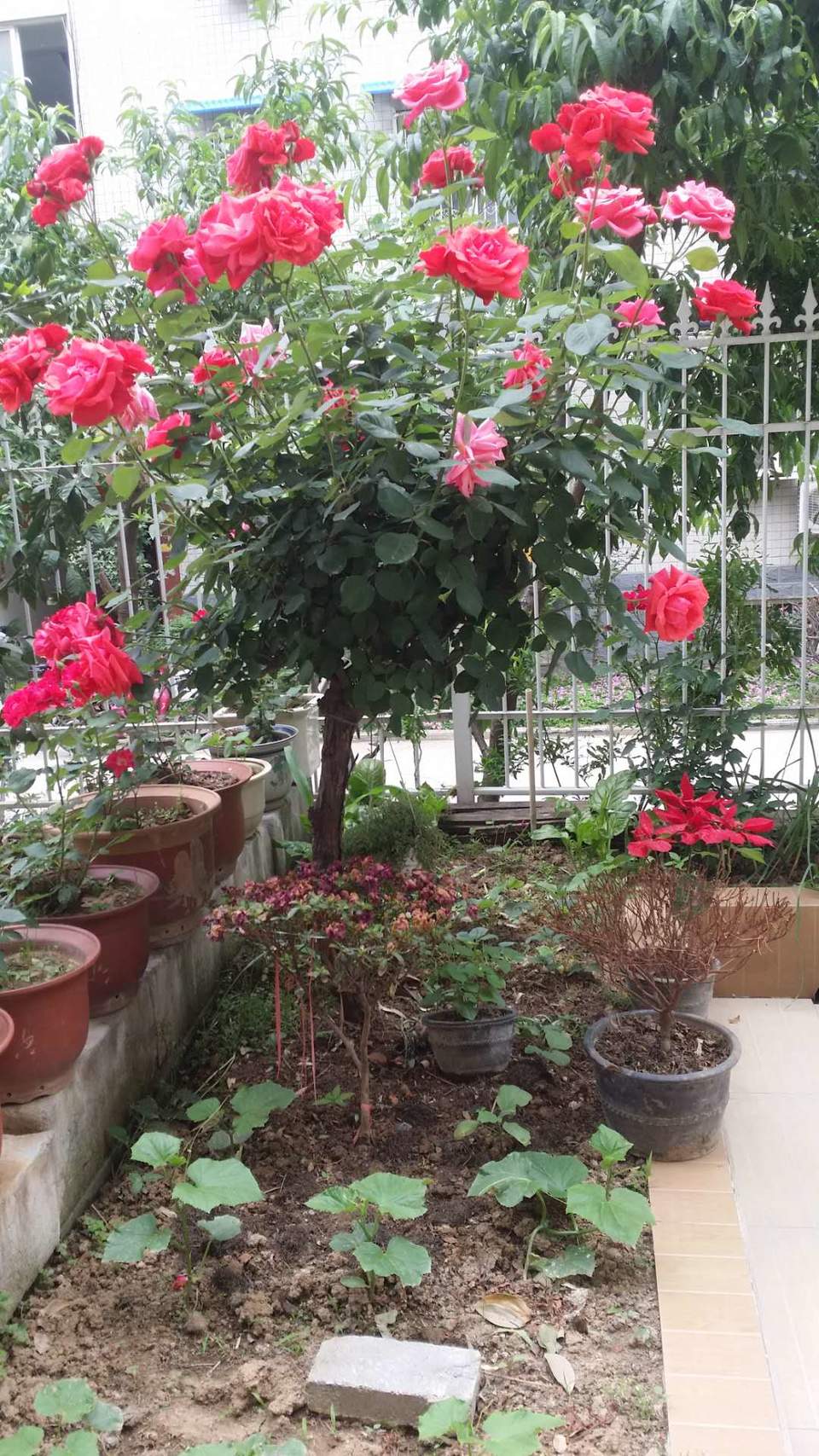 cP-KxkItlXrRp9lHJ_JOTB5sZoM2dvu_IeJt_ff8yrE6T9ZgzlVT3Ma5YM8Vk9zS