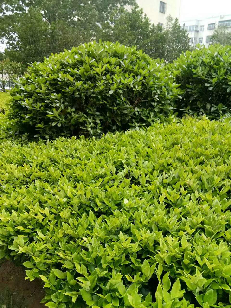 K48cyAXXQjdCBJHjMk8_V7ATEV_fDDmkEpKWhOC-MwGm88tcMGx9YxnGIL_sj-Mh